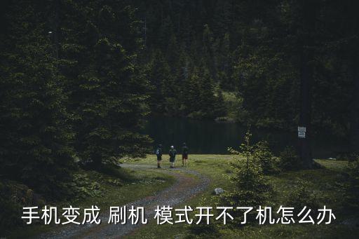 自動刷機(jī)模式很久都不動,如何使用tiktok手機(jī)應(yīng)用程序?