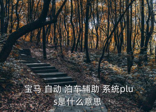  寶馬 自動(dòng) 泊車輔助 系統(tǒng)plus是什么意思
