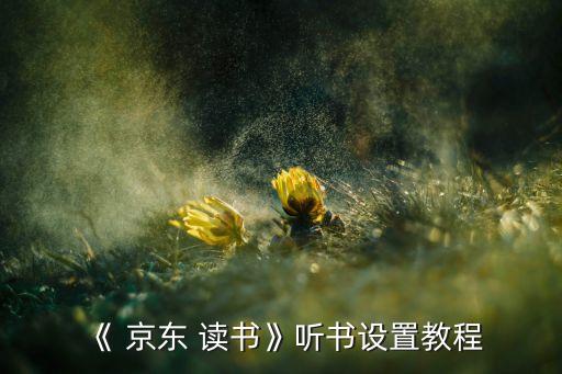 京東讀書有自動翻頁嗎,如何在京東讀書聽書?