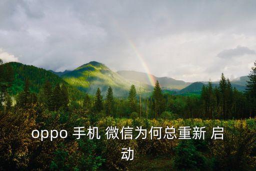 手機(jī)管家自動(dòng)啟動(dòng)微信,為什么微信總是重復(fù)啟動(dòng)?