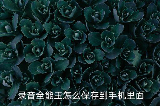  錄音全能王怎么保存到手機(jī)里面