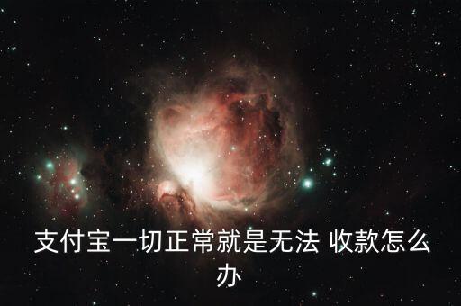 支付寶不自動收款,商戶收款碼申請難官方資料審核嚴格