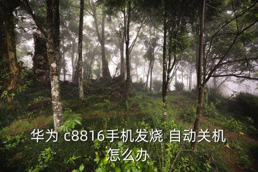 c8816自動(dòng)操作,手機(jī)出現(xiàn)腐蝕或塵垢可能會(huì)重新啟動(dòng)或關(guān)機(jī)