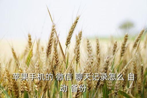 蘋果手機的 微信 聊天記錄怎么 自動 備份