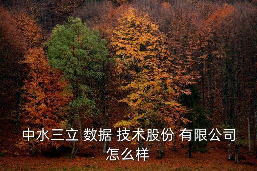 大數(shù)據(jù)的自動(dòng)化技術(shù)有限公司,靠關(guān)系生存的軟件公司!