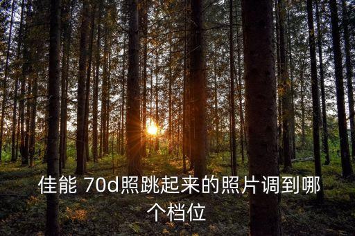 佳能70d哪個檔是自動,先用自動拍照再學(xué)習(xí)其他功能!