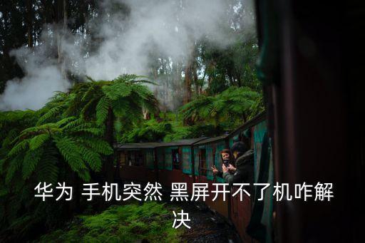  華為 手機突然 黑屏開不了機咋解決