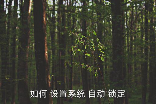 自動(dòng)鎖定在哪里設(shè)置,系統(tǒng)組策略設(shè)置完成后可恢復(fù)正常操作