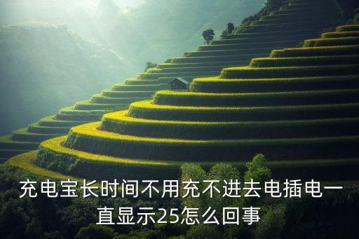  充電寶長時間不用充不進去電插電一直顯示25怎么回事
