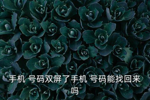 手機(jī) 號碼雙屏了手機(jī) 號碼能找回來嗎