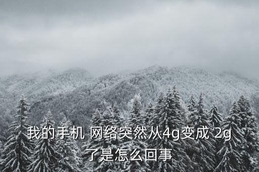 我的手機 網(wǎng)絡(luò)突然從4g變成 2g了是怎么回事