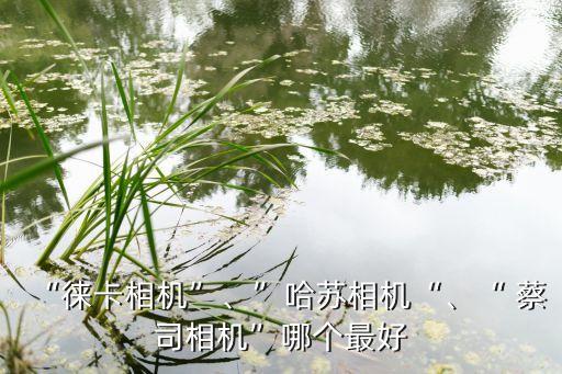 徠卡 蔡司 自動(dòng)對(duì)焦,徠卡走高端奢侈品路線蔡司走專業(yè)路線