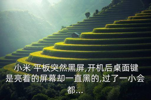 小米平板自動(dòng)屏蔽按鍵,長(zhǎng)時(shí)間未觸發(fā)信號(hào)手機(jī)自動(dòng)關(guān)閉屏幕