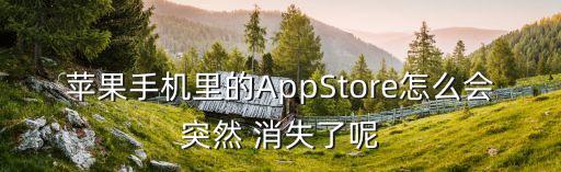 蘋果手機(jī)里的AppStore怎么會突然 消失了呢