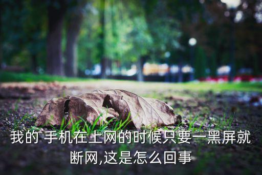 我的 手機(jī)在上網(wǎng)的時(shí)候只要一黑屏就斷網(wǎng),這是怎么回事