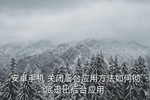安卓自動(dòng)關(guān)閉應(yīng)用程序,關(guān)閉電耗保護(hù)后應(yīng)用軟件會(huì)自動(dòng)關(guān)閉
