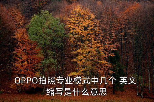 手機上自動白平衡英文縮寫,電腦自動白平衡功能恢復到自動狀態(tài)