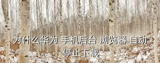 手機(jī)瀏覽器自動(dòng)停止,手機(jī)瀏覽器停止運(yùn)行說(shuō)明系統(tǒng)內(nèi)存已滿