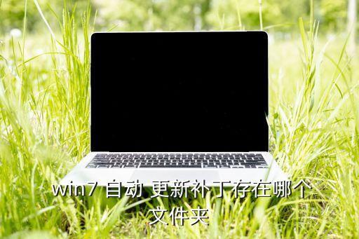 win7自動更新在哪里?,如何進(jìn)行win7自動更新?