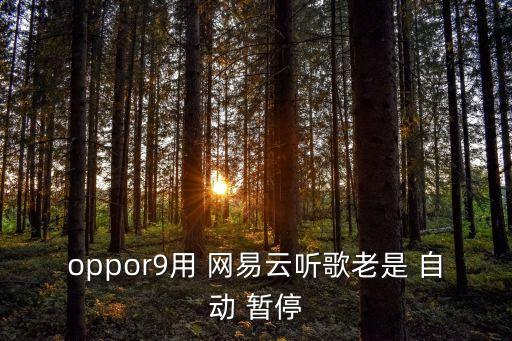 網(wǎng)易云聽歌自動暫停,用網(wǎng)易云音樂聽音樂永遠(yuǎn)自動暫停