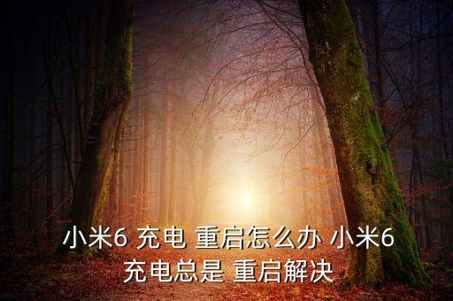  小米6 充電 重啟怎么辦 小米6 充電總是 重啟解決