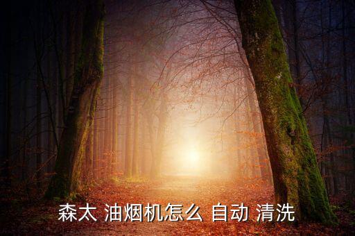 抽油煙機(jī)自動(dòng)清洗怎么用,泰森抽水煙機(jī)-2如何保養(yǎng)?