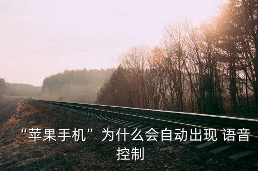 “蘋(píng)果手機(jī)”為什么會(huì)自動(dòng)出現(xiàn) 語(yǔ)音 控制