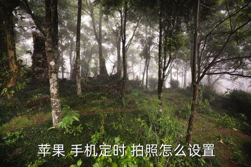  蘋(píng)果 手機(jī)定時(shí) 拍照怎么設(shè)置