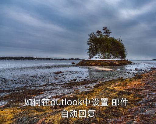 自動答復郵件,僅在以下時間范圍內(nèi)答復復選框可選僅答復聯(lián)系人