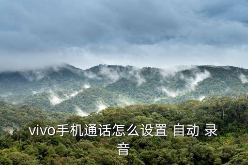vivo手機(jī)通話怎么設(shè)置 自動(dòng) 錄音