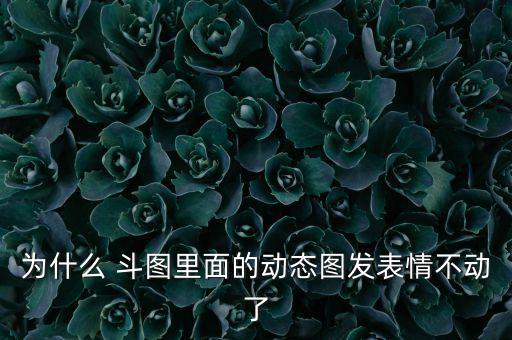 為什么 斗圖里面的動態(tài)圖發(fā)表情不動了