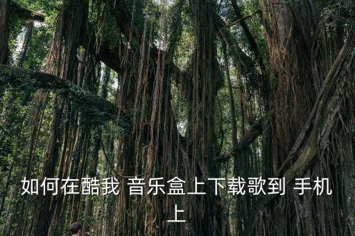 酷我音樂自動安裝到手機(jī)上,酷我音樂box音樂如何下載到手?