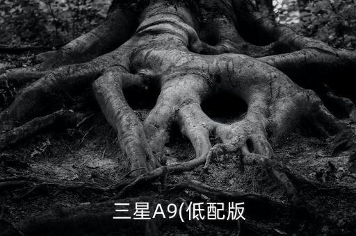 三星a9 自動(dòng)亮度,手機(jī)屏幕閃爍怎么辦?