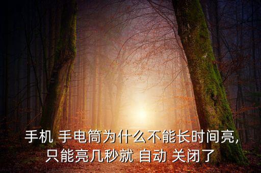  手機 手電筒為什么不能長時間亮,只能亮幾秒就 自動 關閉了