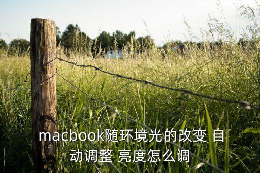 mac不能自動調(diào)節(jié)亮度,蘋果筆記本自動調(diào)節(jié)亮度方法如下