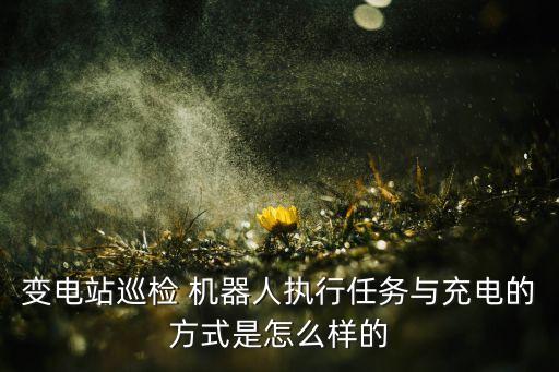 變電站巡檢 機(jī)器人執(zhí)行任務(wù)與充電的方式是怎么樣的
