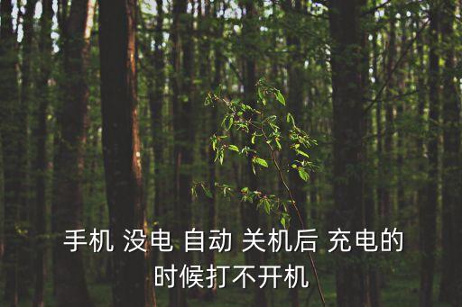  手機(jī) 沒(méi)電 自動(dòng) 關(guān)機(jī)后 充電的時(shí)候打不開(kāi)機(jī)