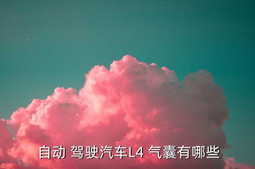  自動(dòng) 駕駛汽車L4 氣囊有哪些