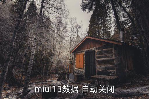 miui13數(shù)據(jù) 自動(dòng)關(guān)閉