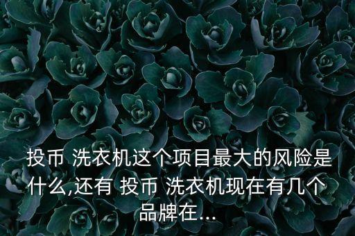 自動(dòng)洗衣機(jī)投幣漏洞,目前只有四家品牌廠商生產(chǎn)投幣洗衣機(jī)