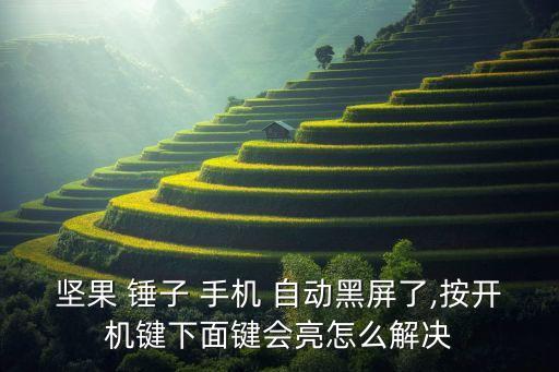 堅果 錘子 手機 自動黑屏了,按開機鍵下面鍵會亮怎么解決