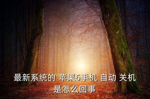 最新系統(tǒng)的 蘋果6手機(jī) 自動(dòng) 關(guān)機(jī)是怎么回事