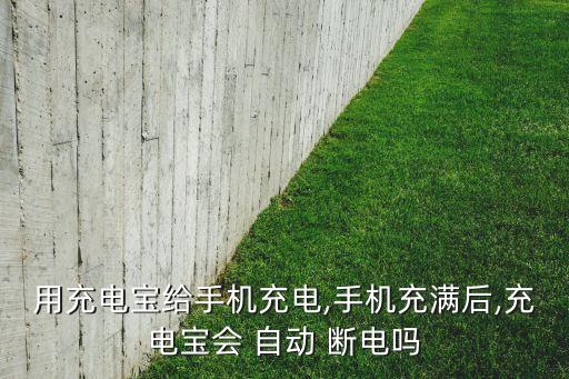 羅馬仕不會自動斷電,移動電源也不例外采用涓流模式充電
