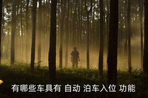 有哪些車(chē)具有 自動(dòng) 泊車(chē)入位 功能