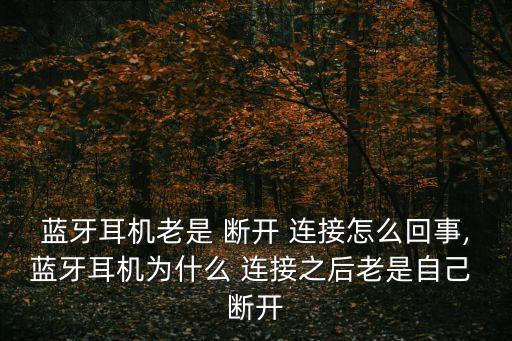 藍(lán)牙耳機(jī)老是 斷開(kāi) 連接怎么回事,藍(lán)牙耳機(jī)為什么 連接之后老是自己 斷開(kāi)