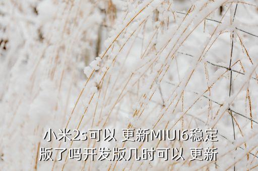 小米2自動(dòng)更新miui6,第二次重啟手機(jī)需要等一段時(shí)間