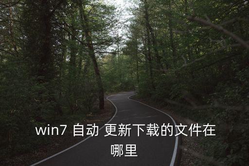  win7 自動(dòng) 更新下載的文件在哪里