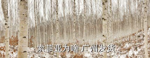 廣州索菲亞自動(dòng)化,索菲亞在中國(guó)產(chǎn)地為廣州市