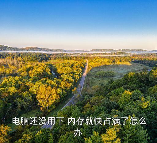  電腦還沒用下 內(nèi)存就快占滿了怎么辦