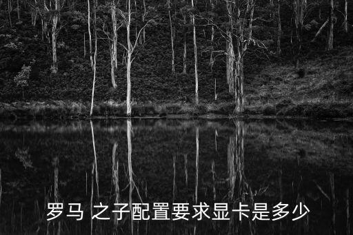  羅馬 之子配置要求顯卡是多少